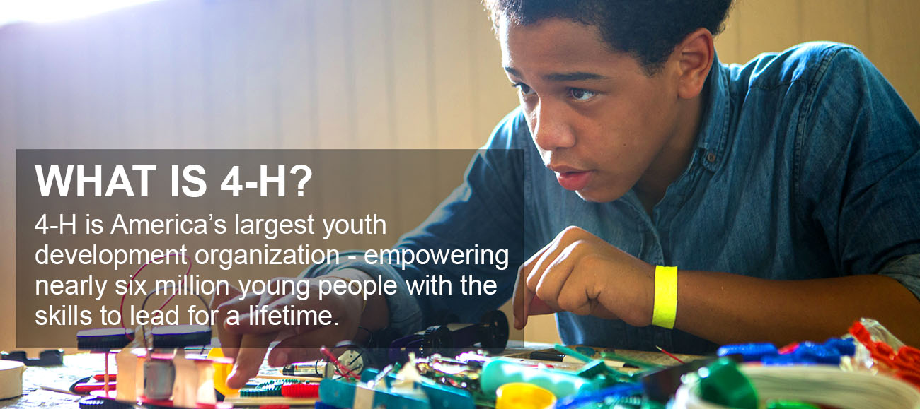 4-H is America's largest youth development organization