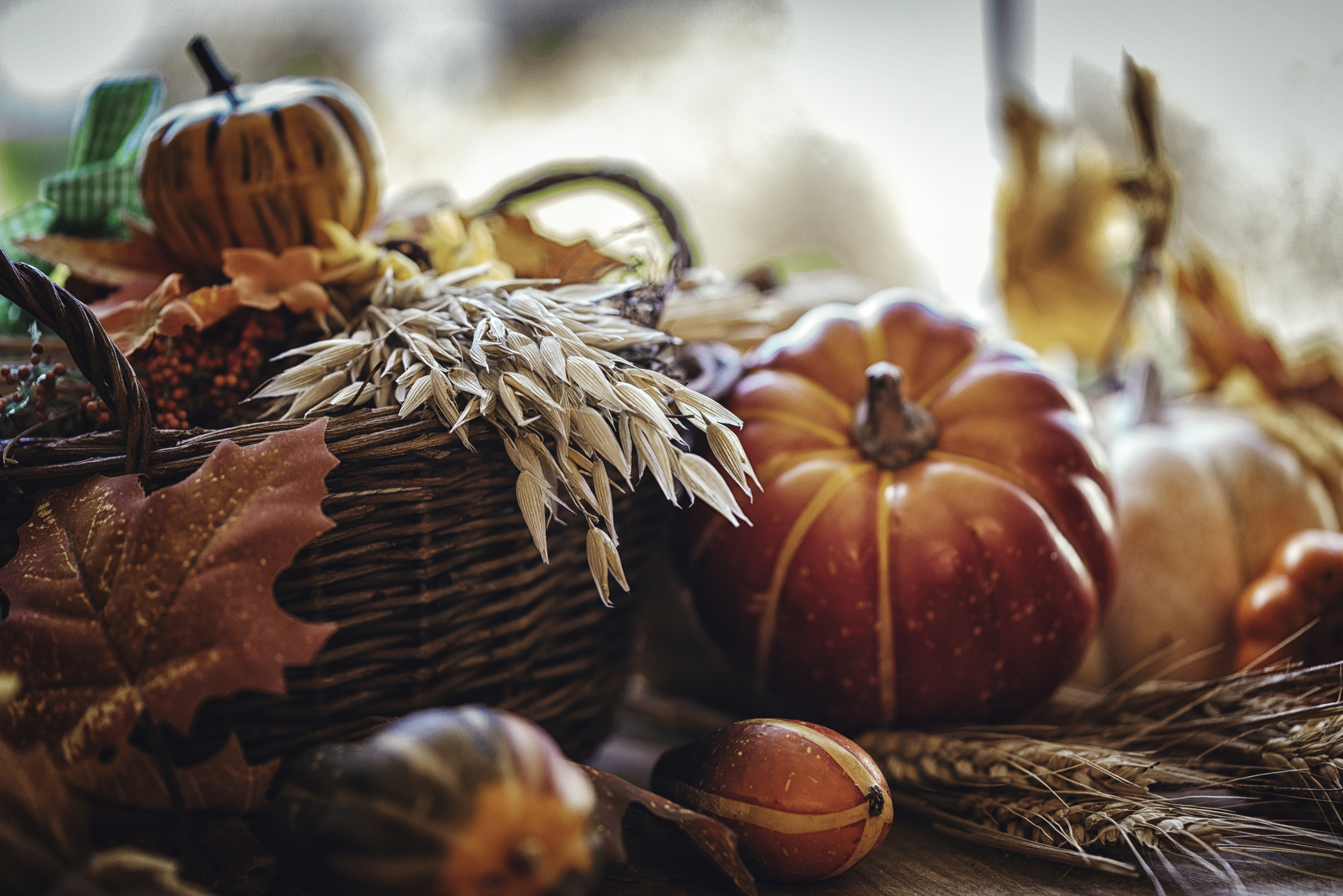 Fall scene: pumpkins, gourds and leaves